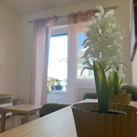 Cafe Portonaccio Apartment